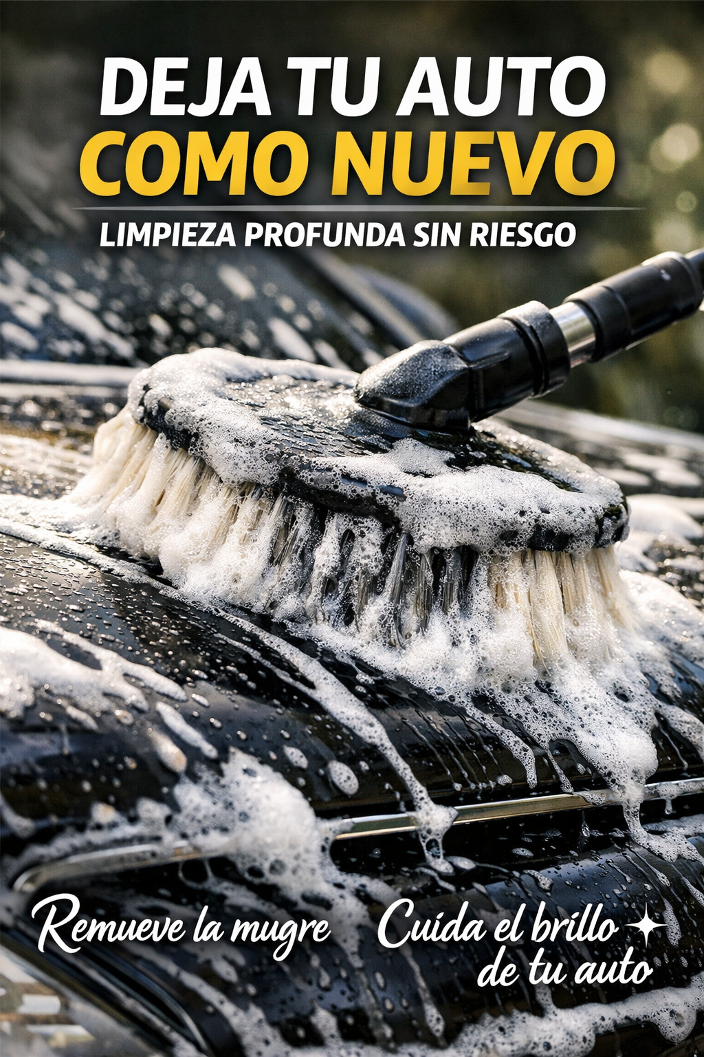 Cepillo para auto Profesional ™