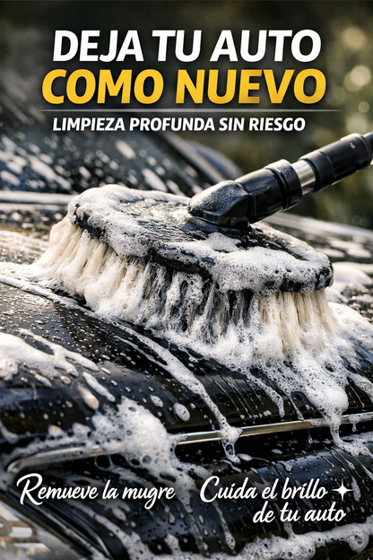 Cepillo para auto Profesional ™
